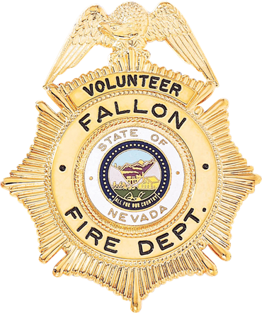Davie FD Badge B96 (Blackinton)