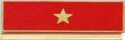 Commendation Bars, Pins, and Medals