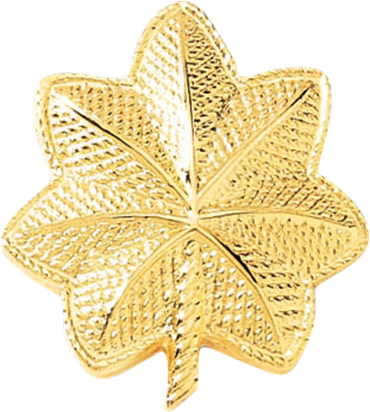 Police Department Rank Insignia Blackinton