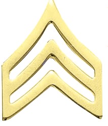 Plantation Police Department Collar Brass